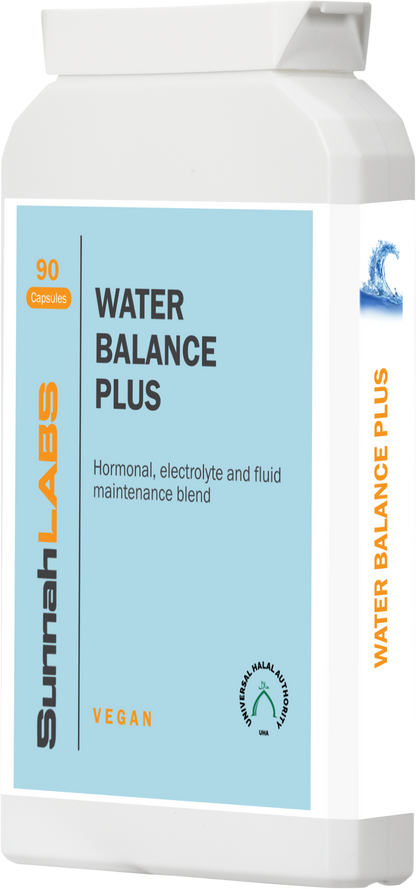 Water Balance Plus