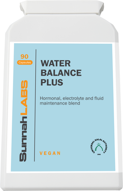 Water Balance Plus