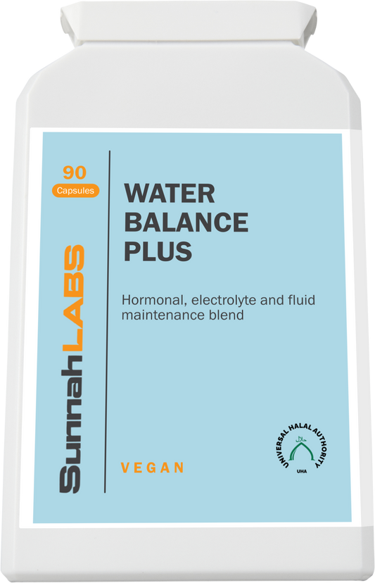 Water Balance Plus