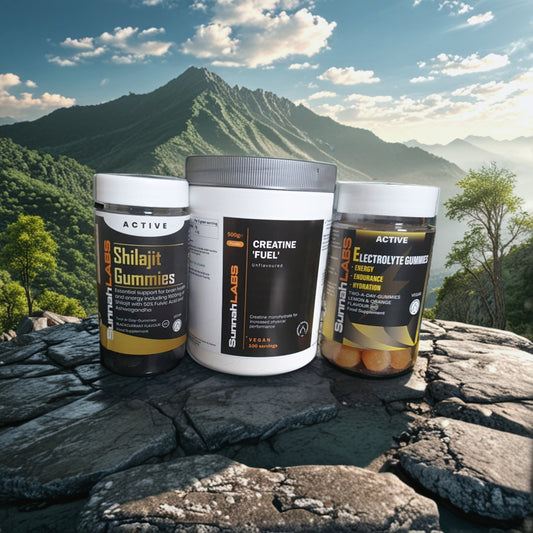 Active Bundle (Creatine + Shilajit + Electrolytes)
